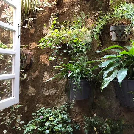 The One Home Đà Lạt Ngoại thất bức ảnh