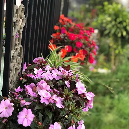 The One Home Đà Lạt Ngoại thất bức ảnh