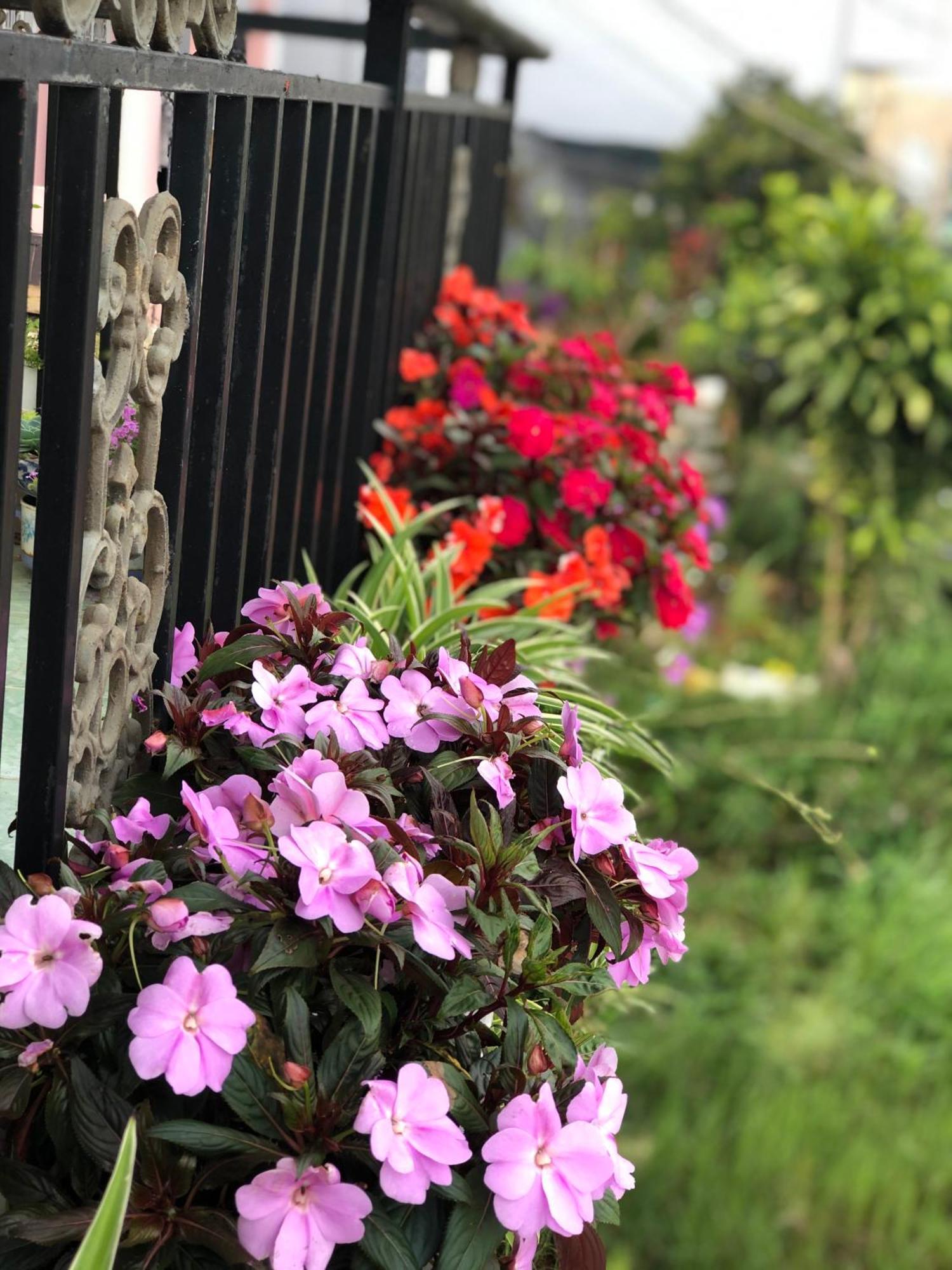 The One Homestay Da Lat